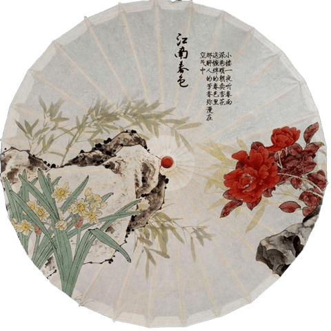Ombrelle Chinoise Végétation