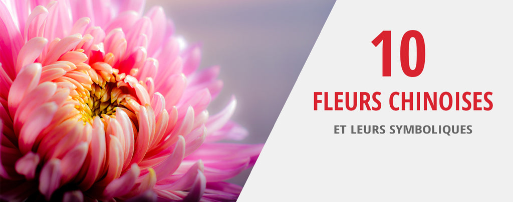 Blomster Symbolikk () Blomster Symbolikk