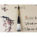 Large Chinese brush