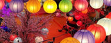 Lanterne Chinoise <br> Fuchsia