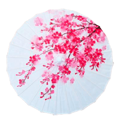 Ombrelle Chinoise <br> Fleurs de Prunier