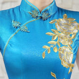 Robe Chinoise Dorures bleu col